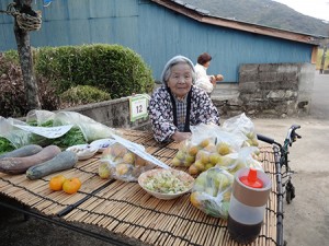 2012saruku11_16_s