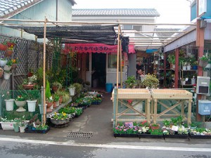 2005saruku4_15_s