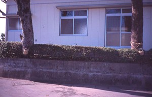 2005saruku4_9_s