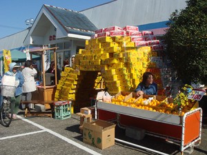 2006saruku5_9_s