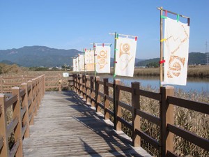 2008saruku7_9_s