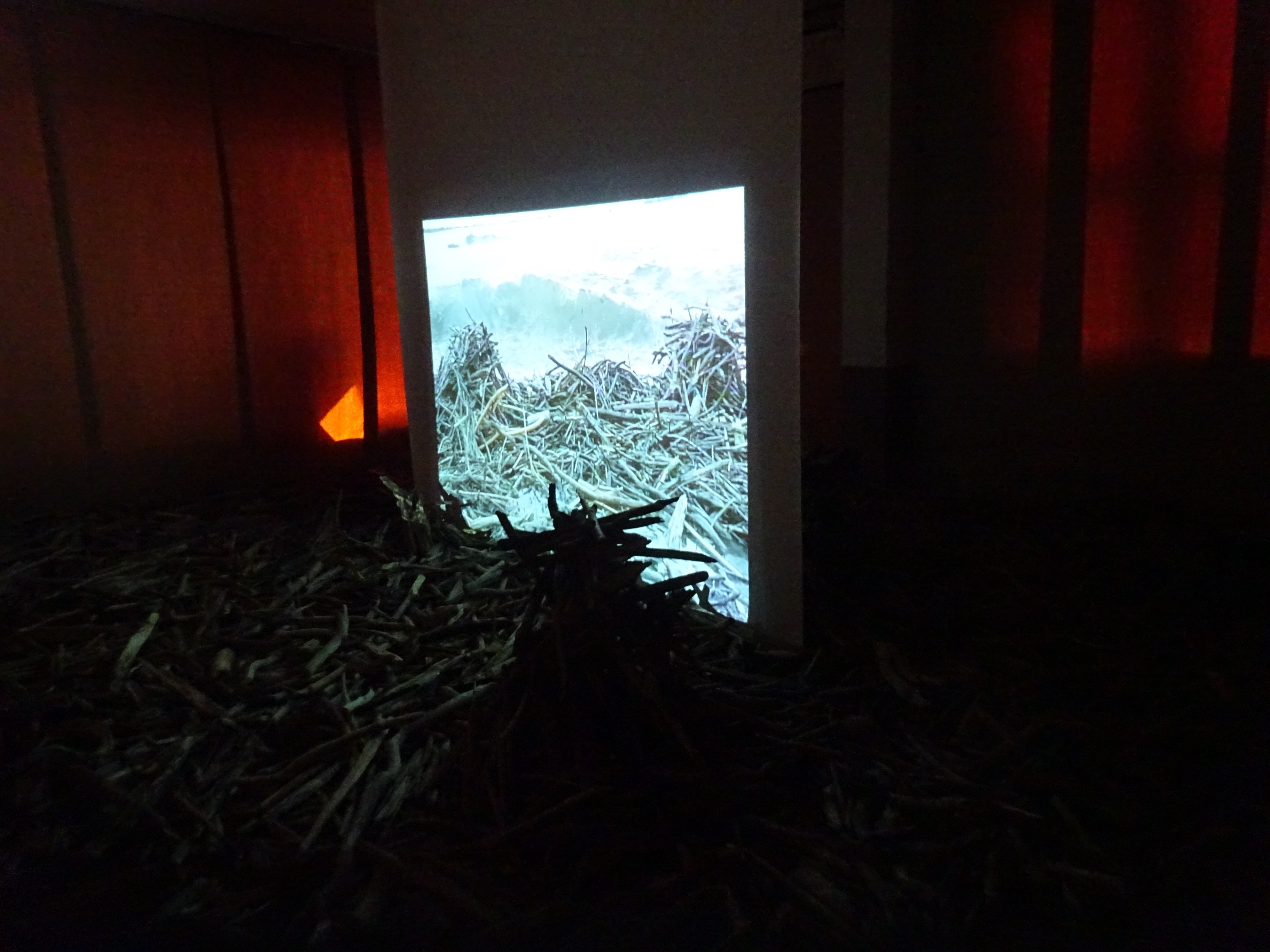 恋島公民館での展示の様子