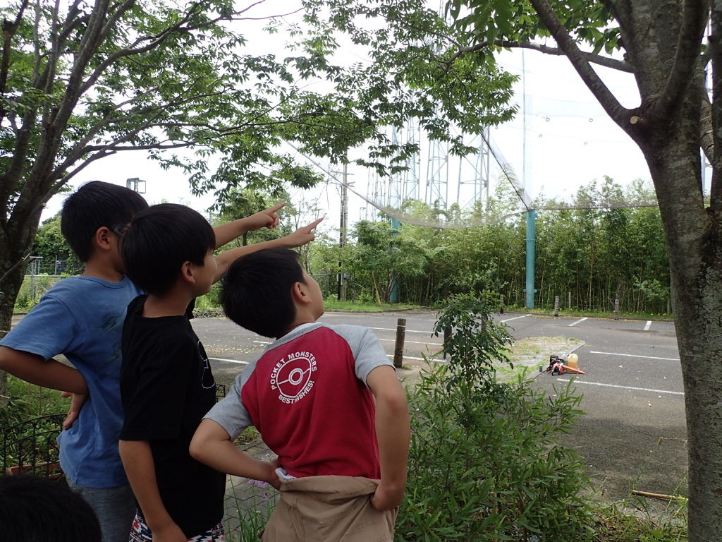 セミ発見！
