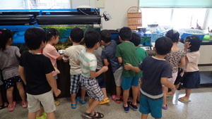 ミニ水族館が人気です